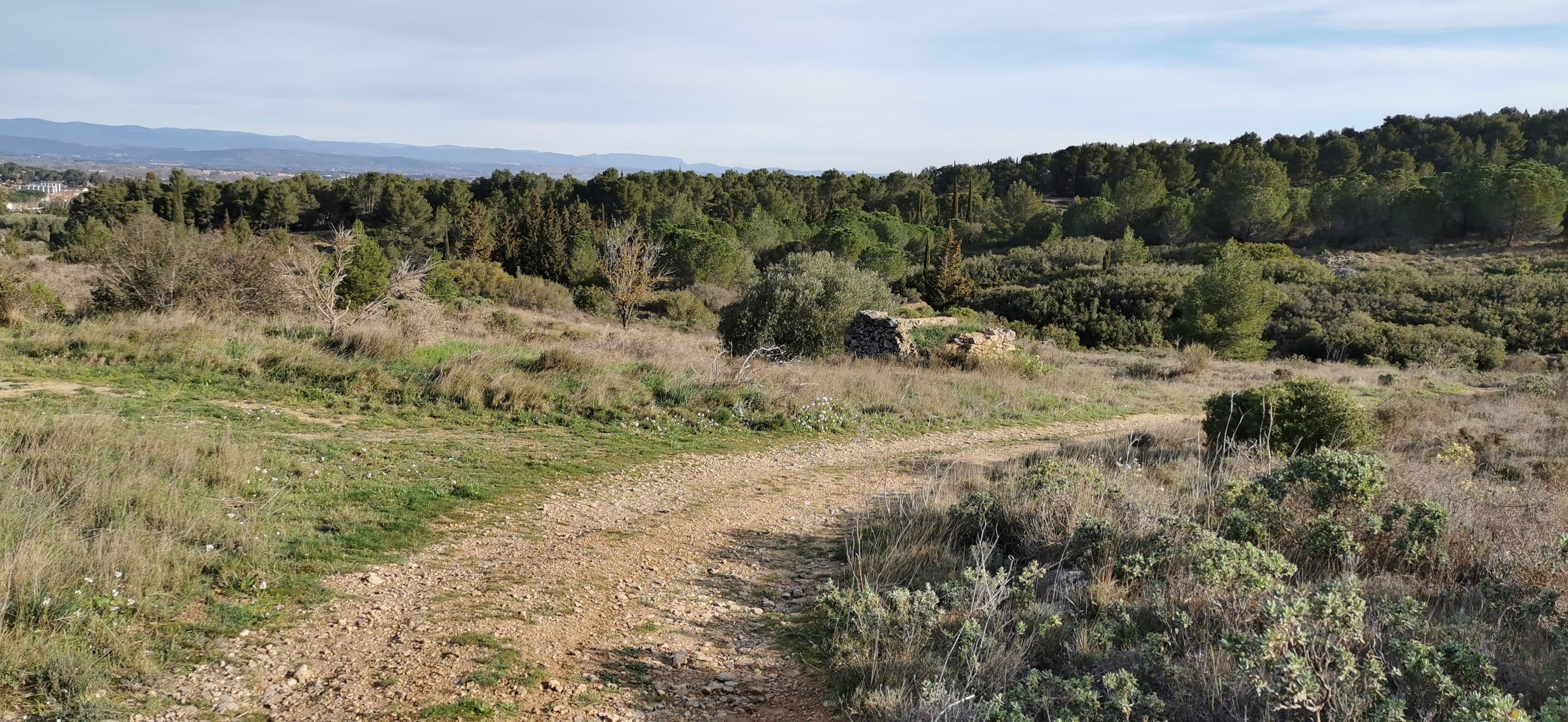 Foulée des éoliennes - image 2