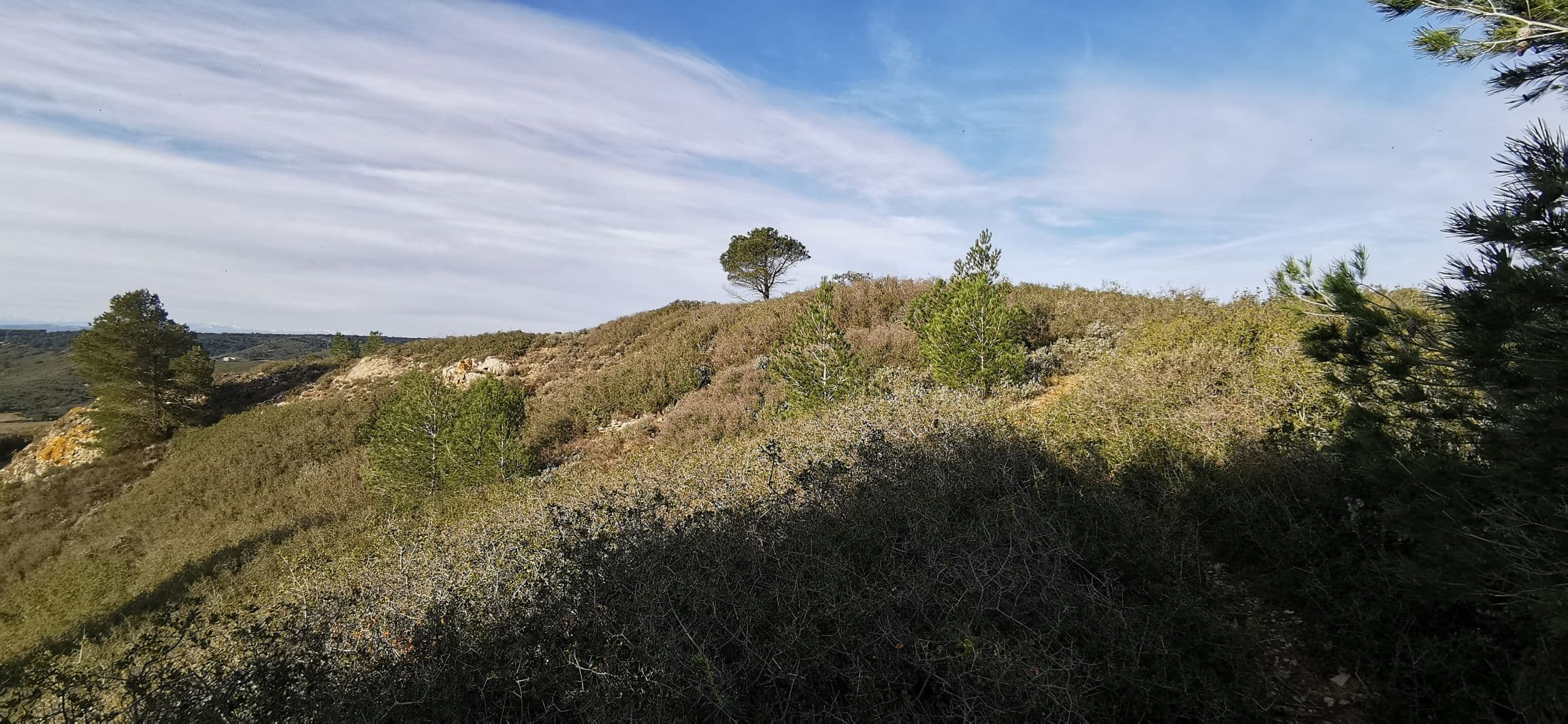 Foulée des éoliennes - image 4