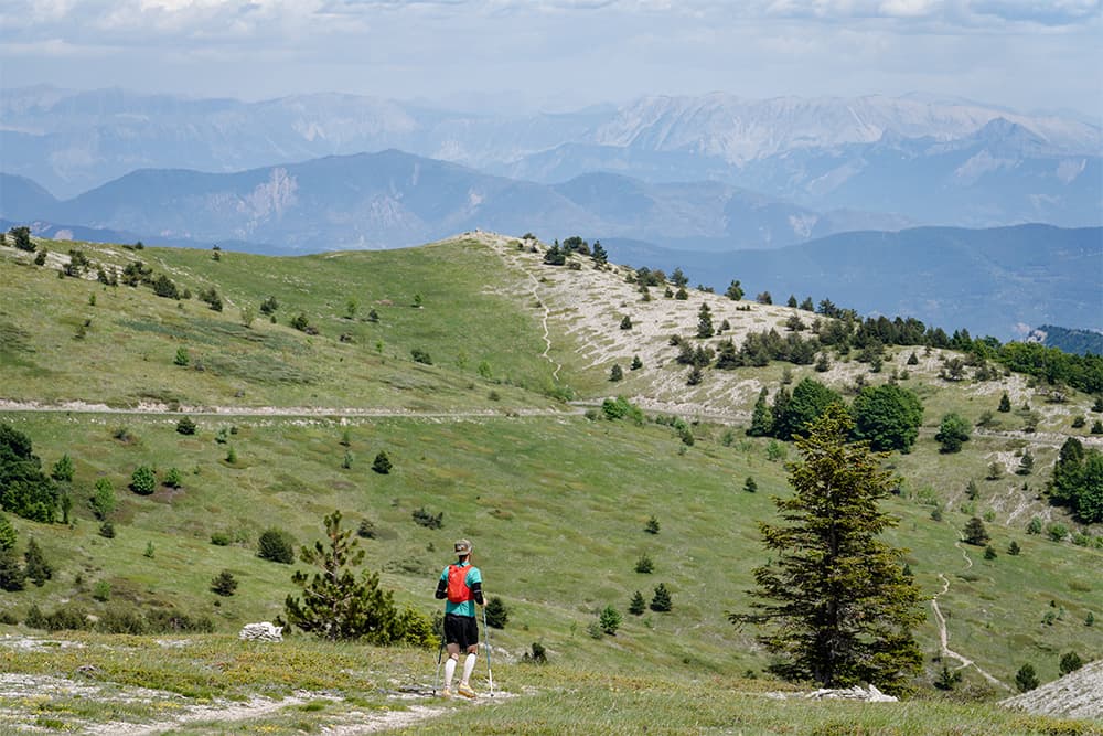 THP - Trail de Haute Provence - image 4