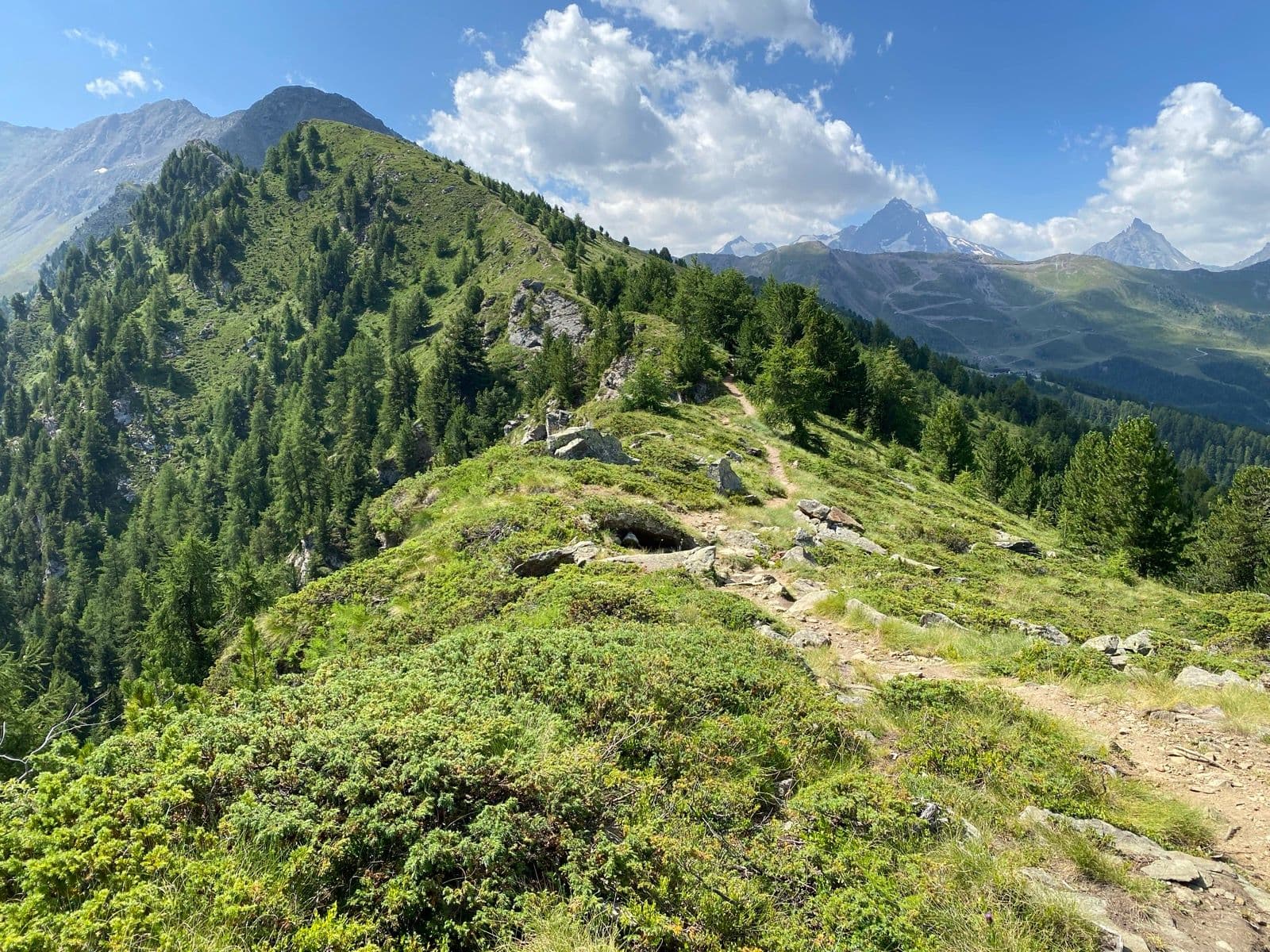 RunThrough Trails Pila - image