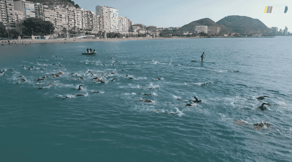 MTRI Alicante - image 2