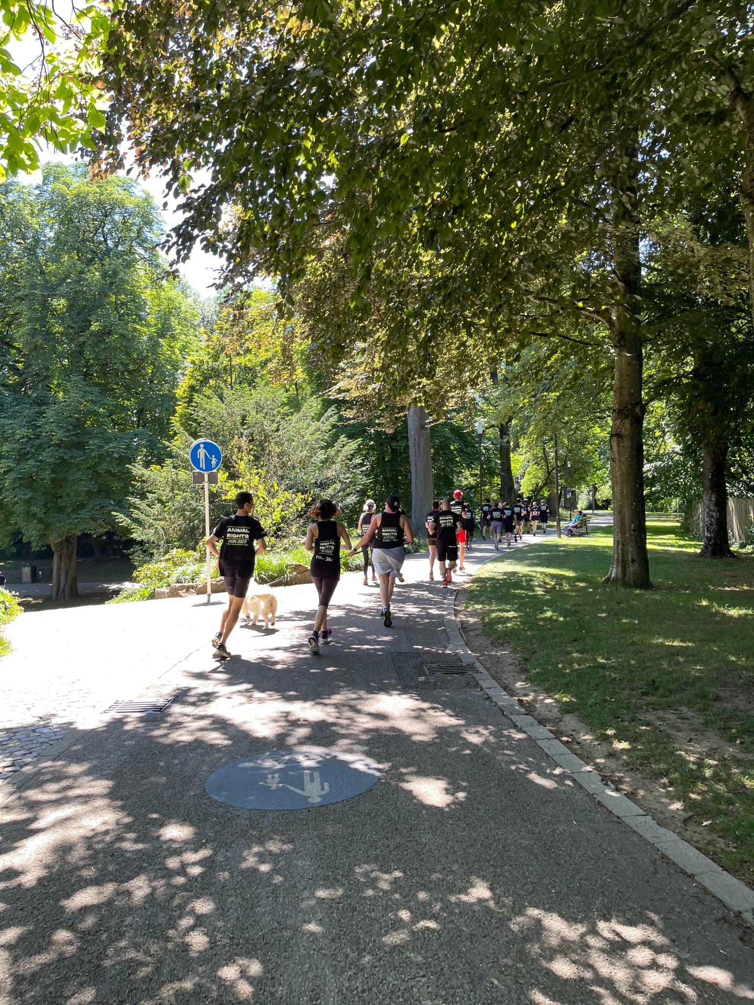 Elle Run Luxembourg - image 2