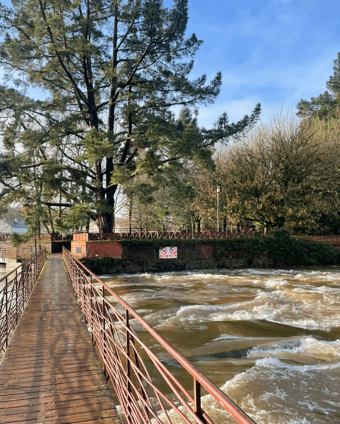 Backyard de Locastel - image 4