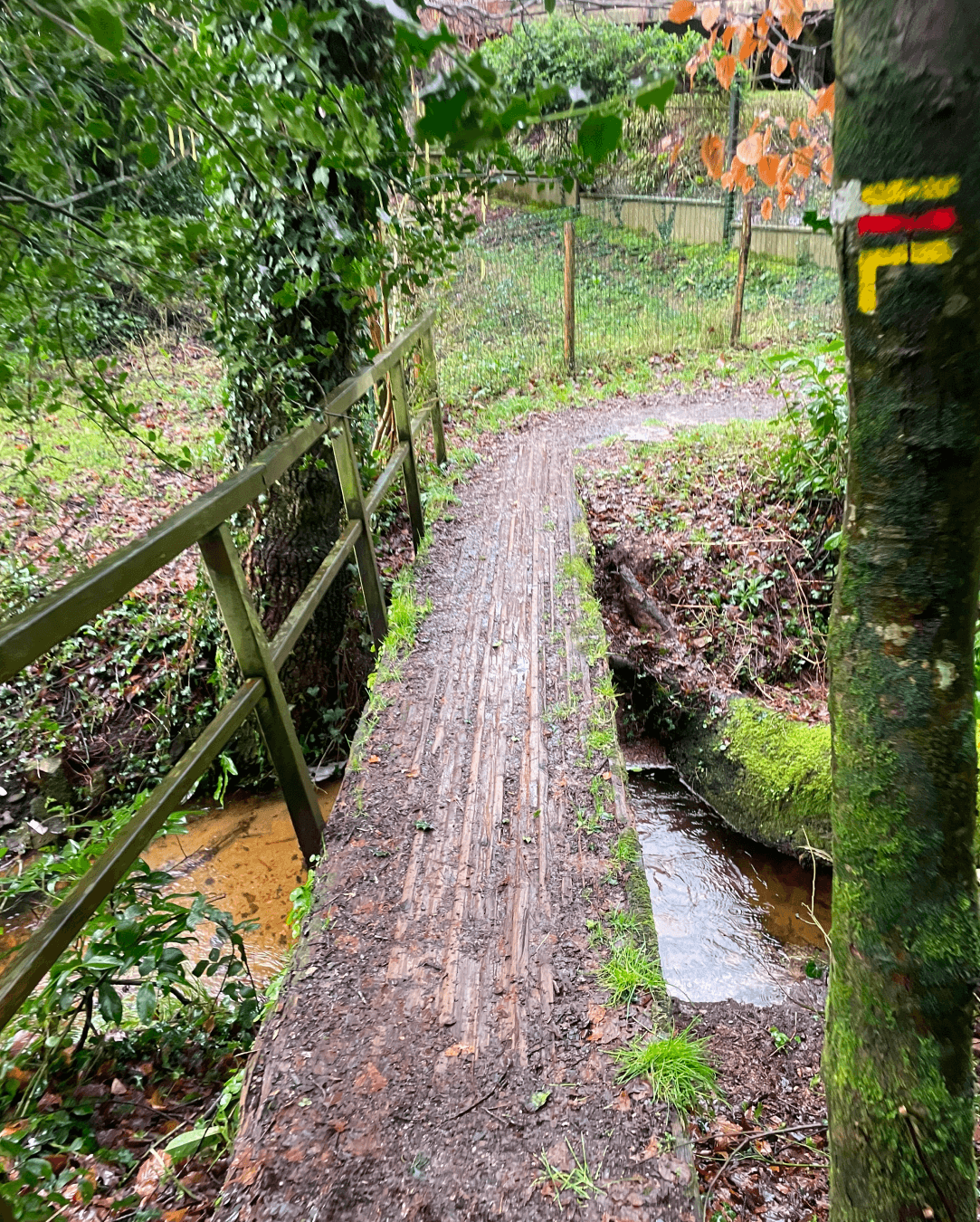 Backyard de Locastel - image 2