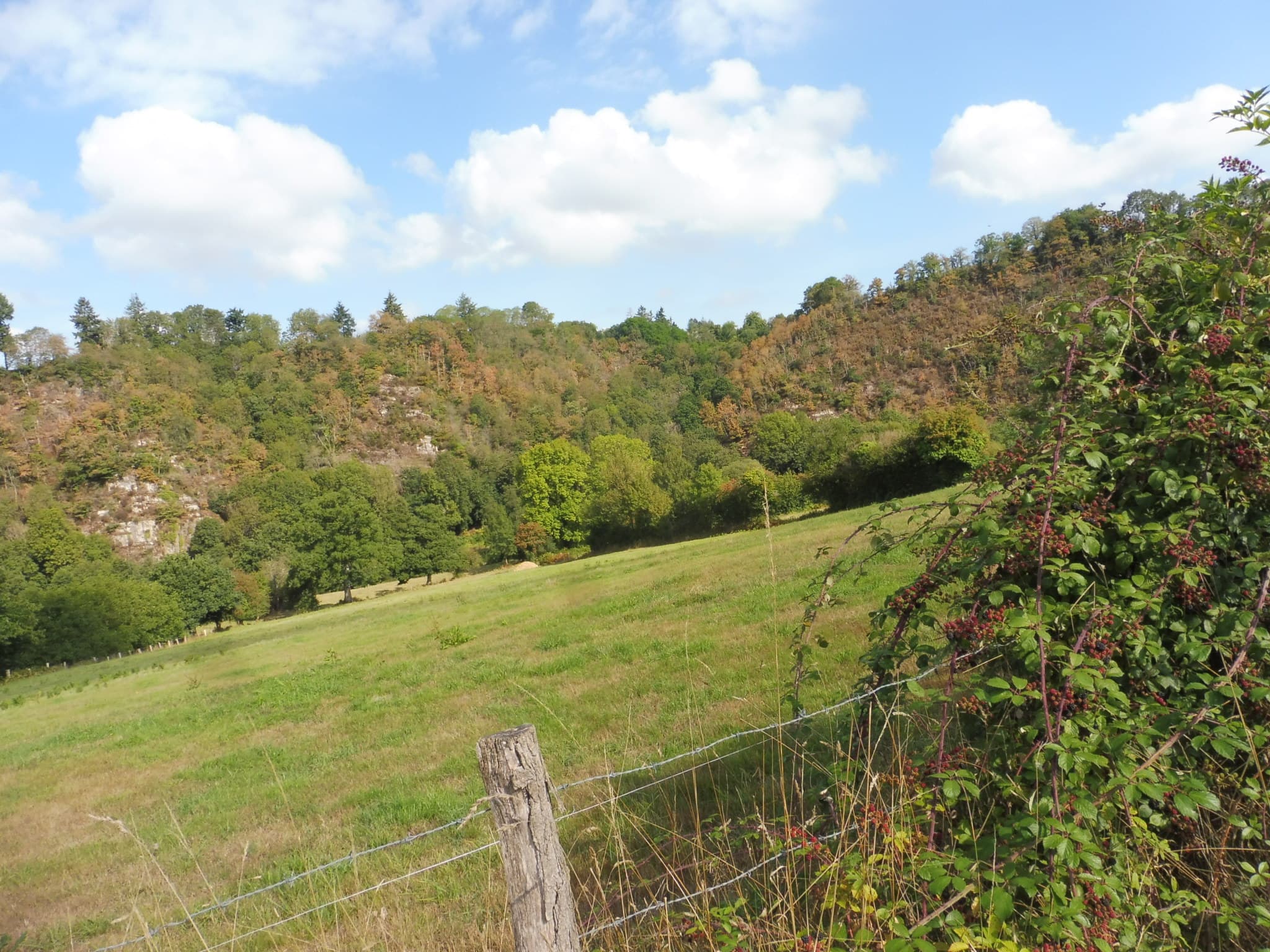 10 km de Chassagne Montrachet - image
