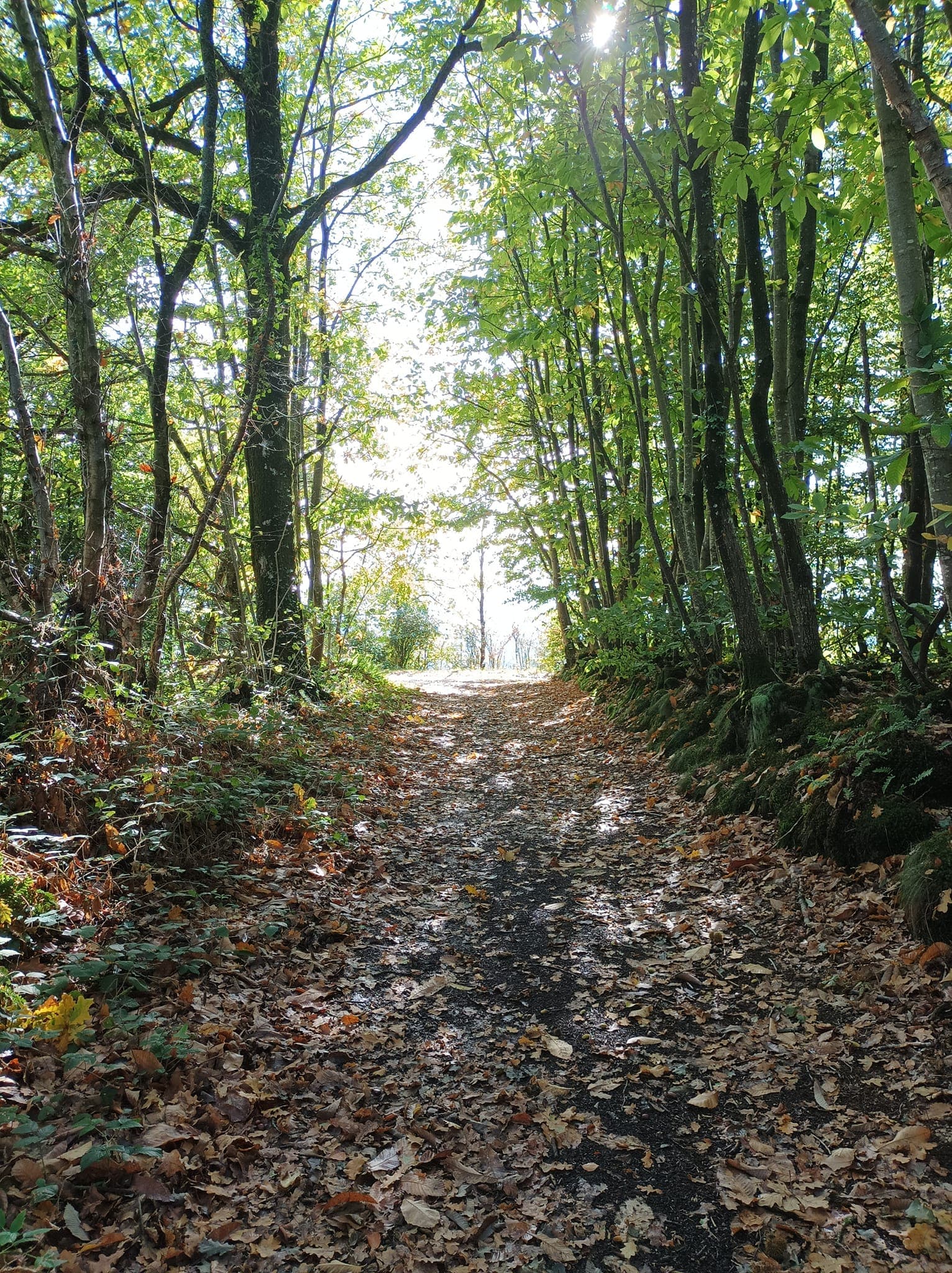 Trail de la vallée de la Souleuvre - image