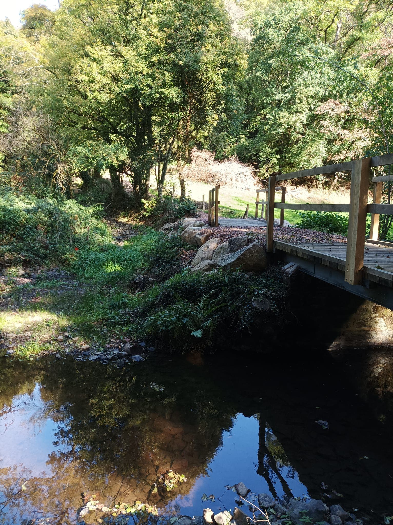 Trail de la Transylvestre - image 1