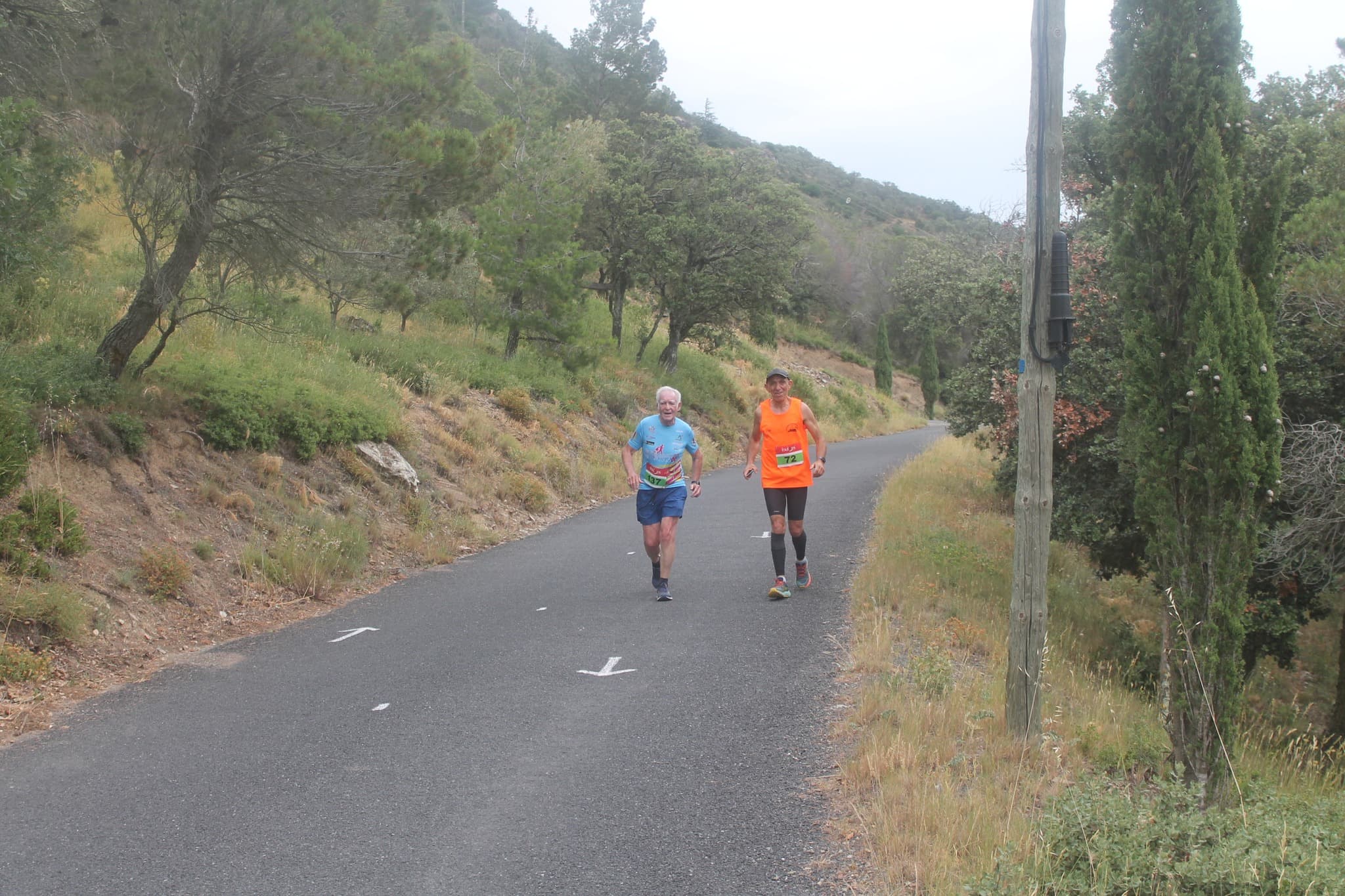 Trail des clochers du Razes - image