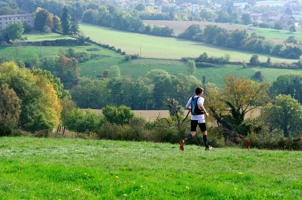 Fête des marrons - image