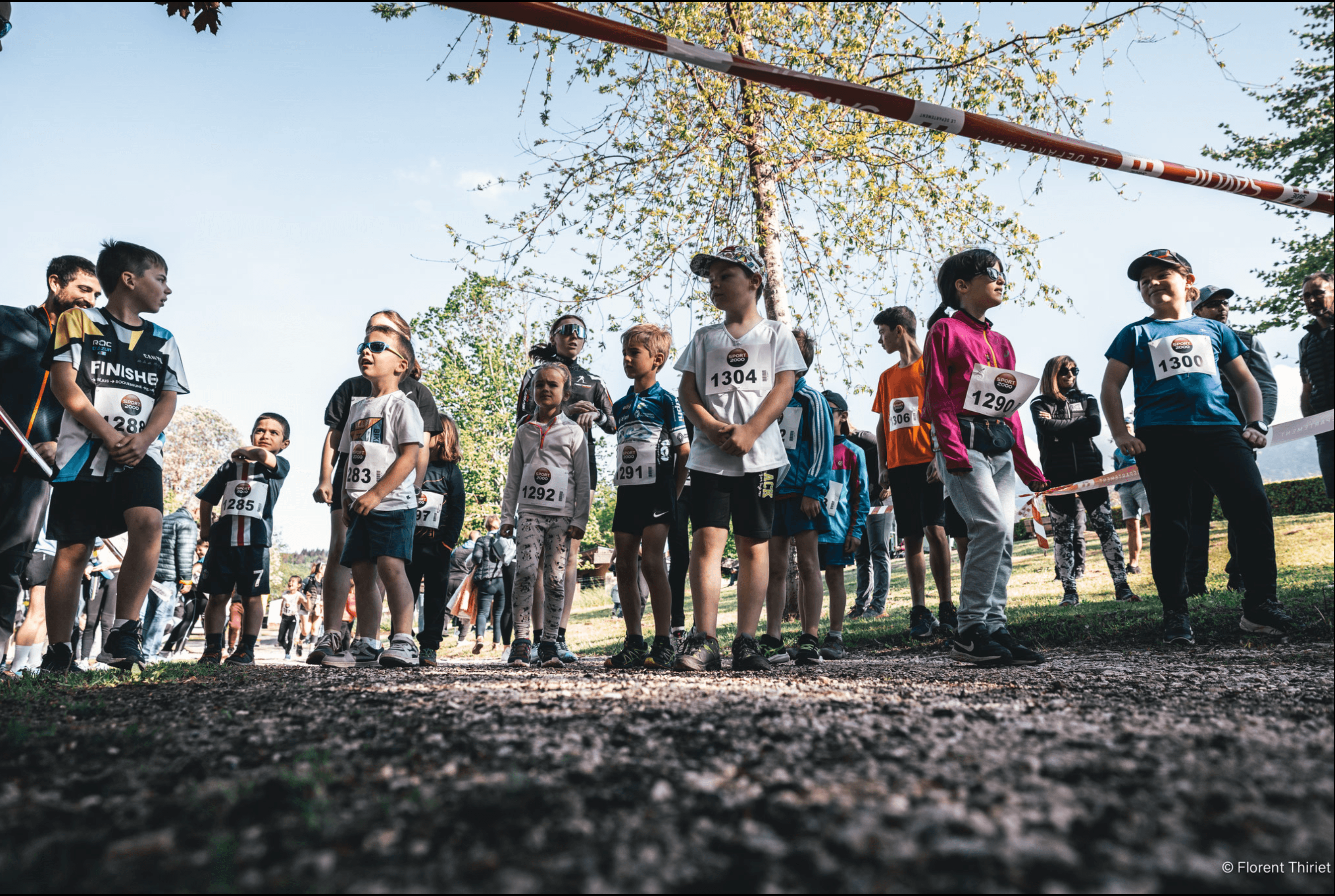 La chatvoyarde - image 3