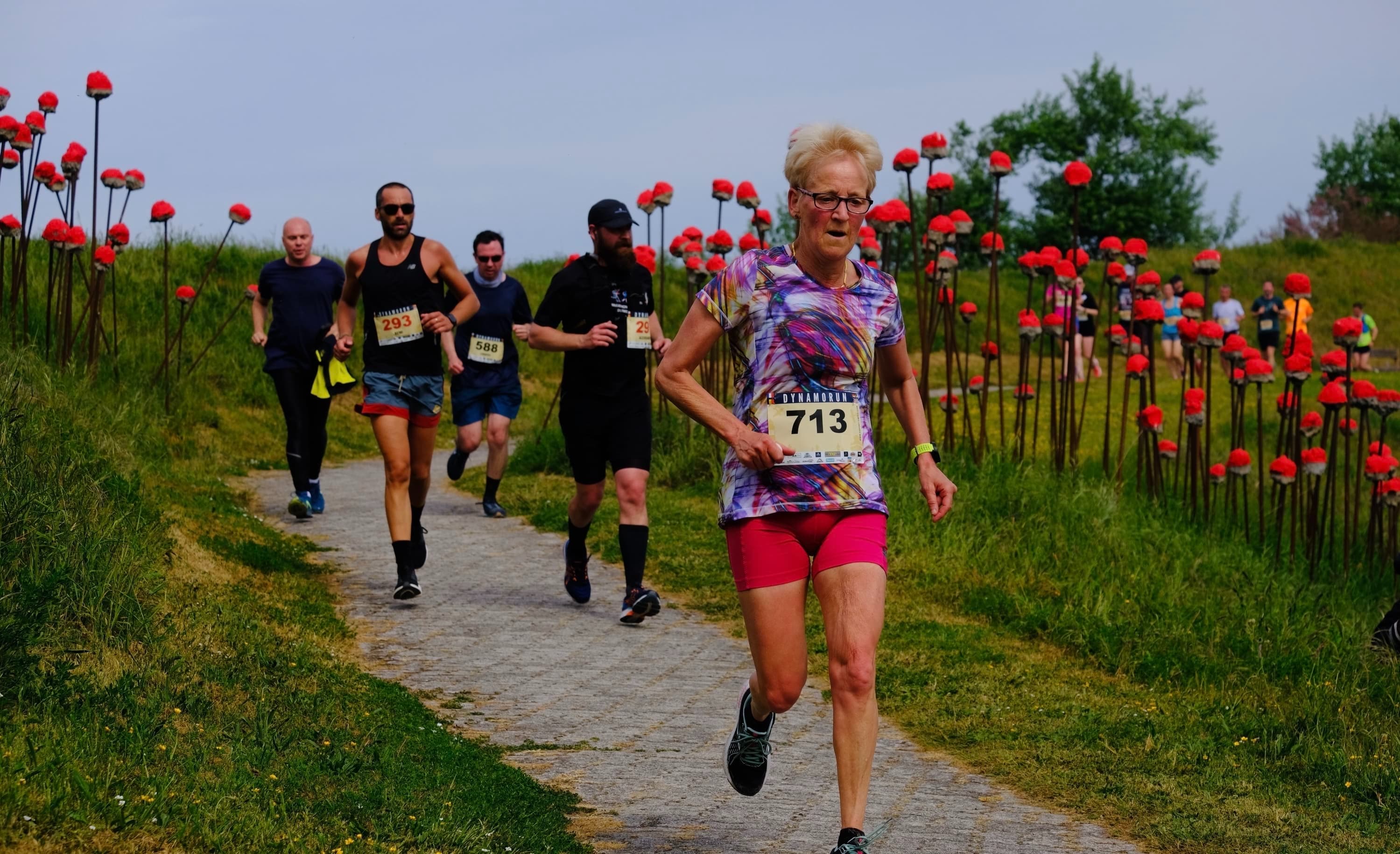 La dynamorun - image 5