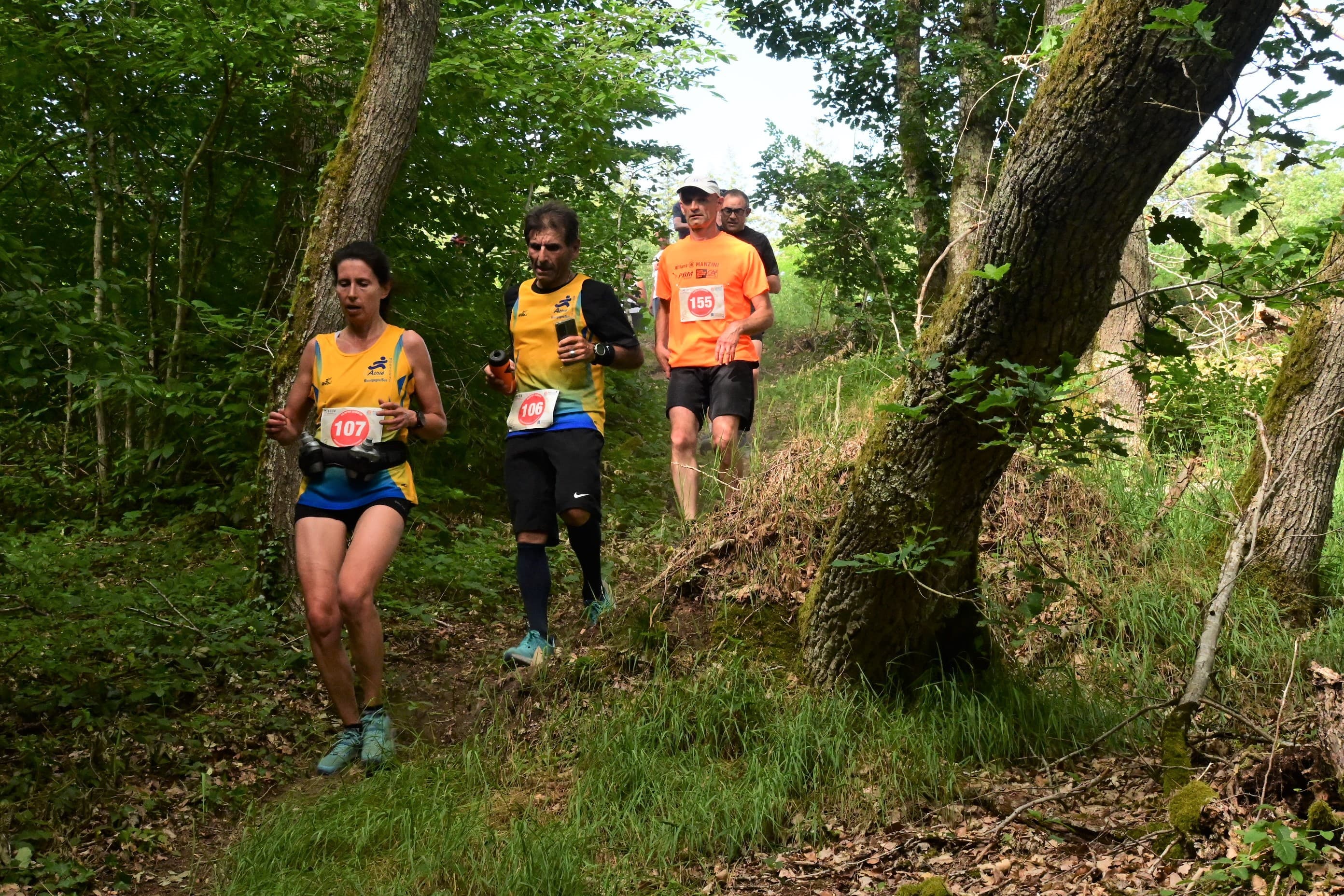 Trail du Mont Dardon - image