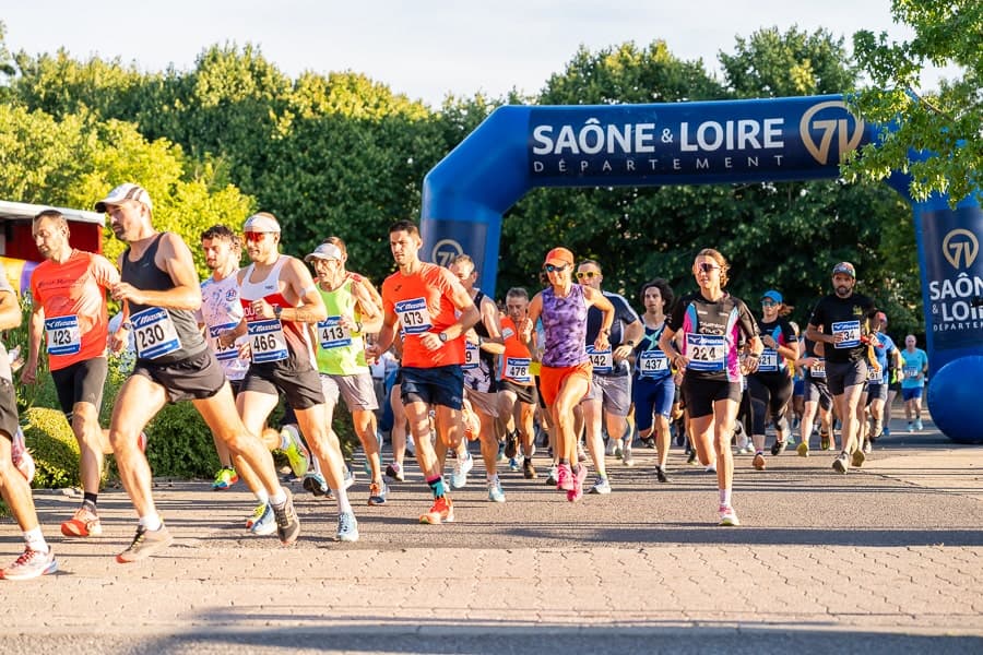 La sancéenne - image