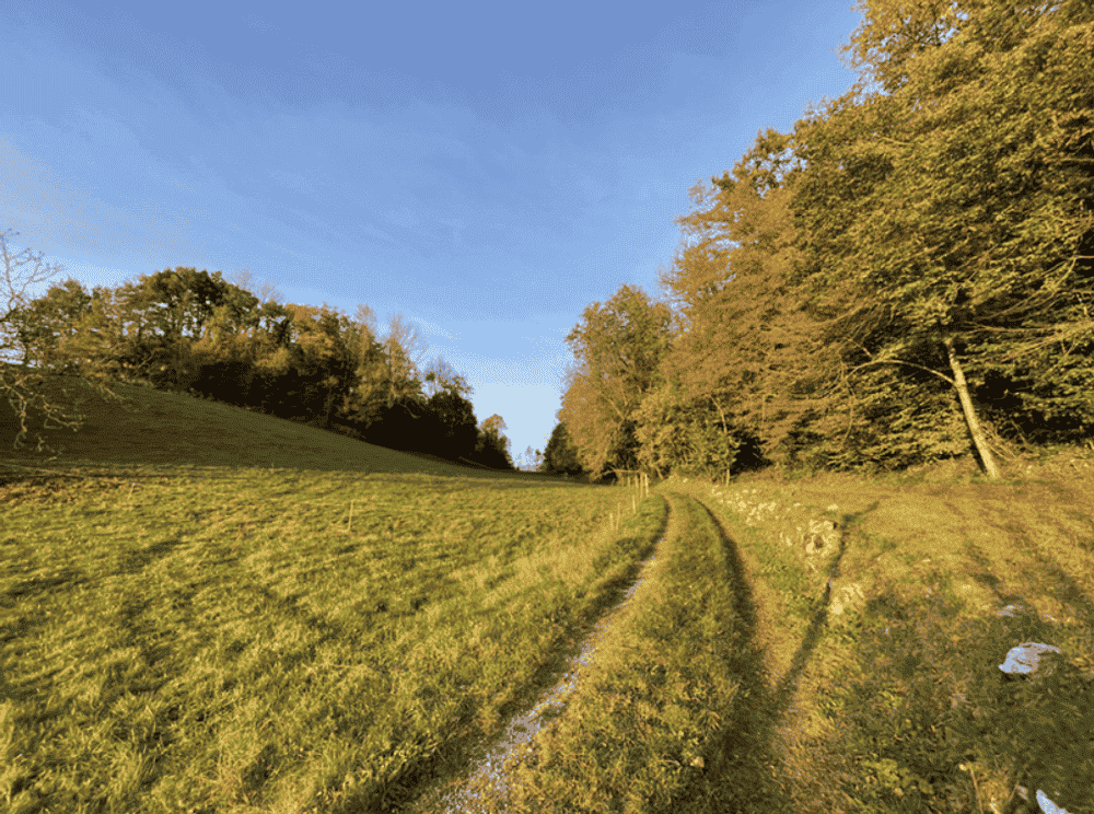 Trail du Mont Grêle - image 4