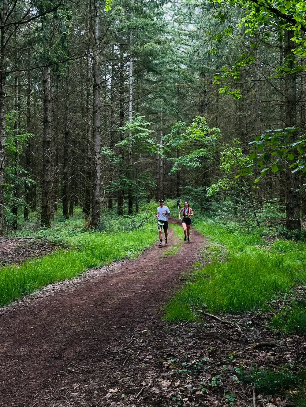 Trail des croix de rome - image