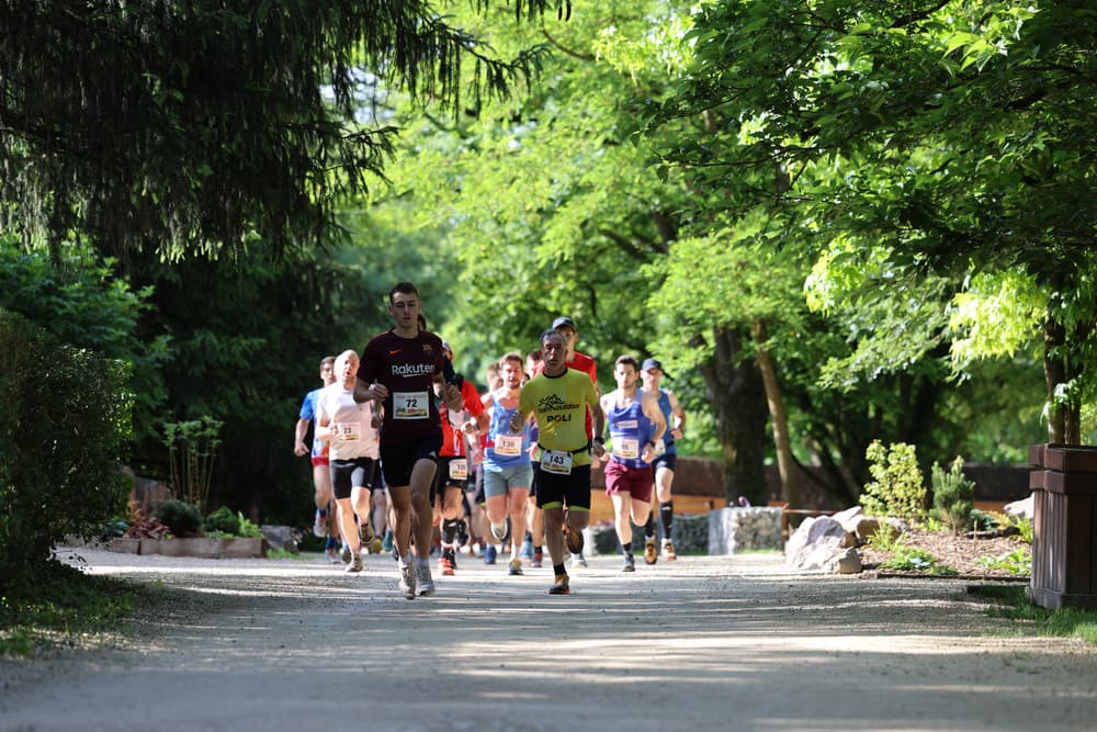 Trail du guépard - image
