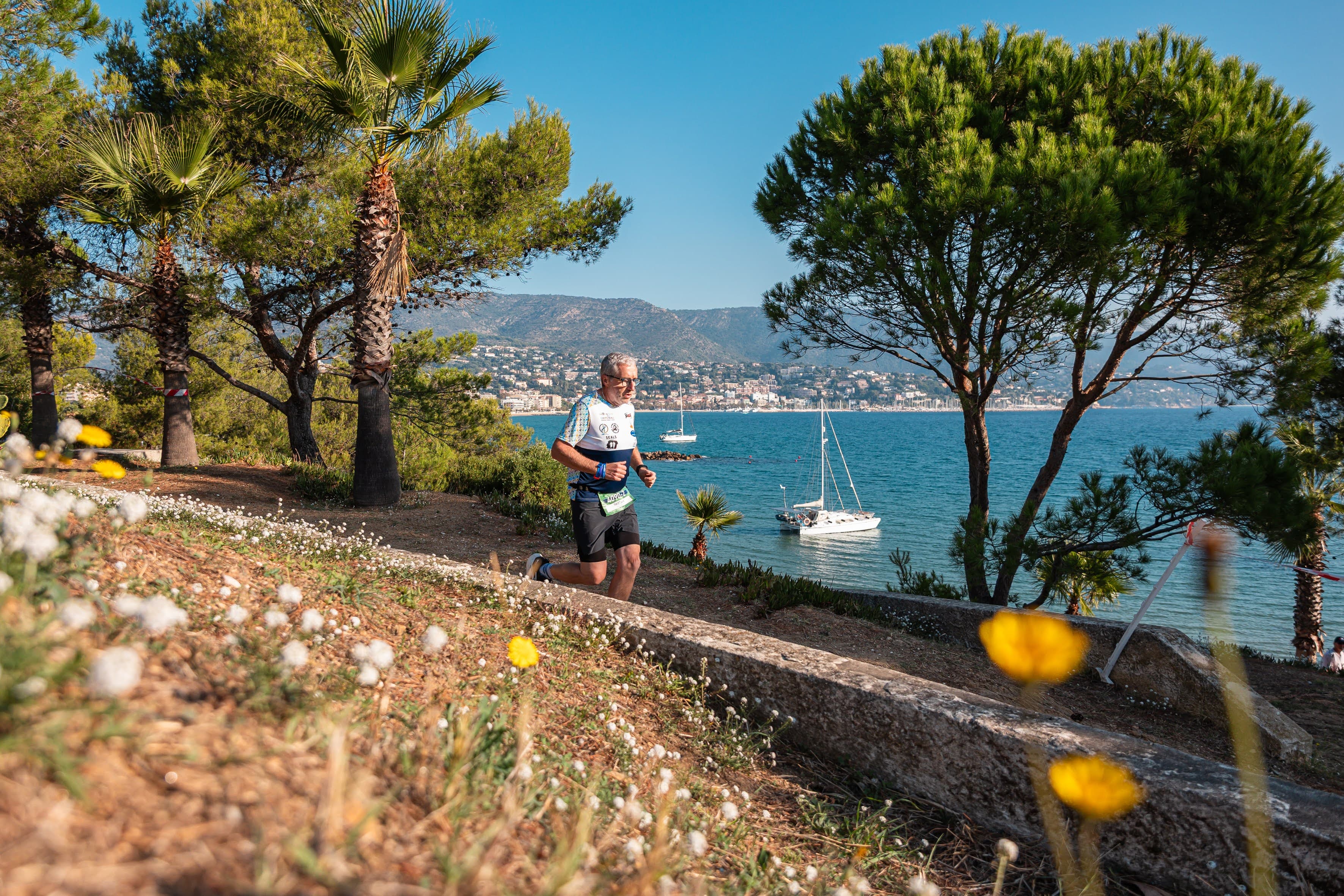 T24 Bormes-les-Mimosas - image