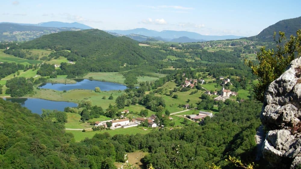 Triathlon du Chat - image 3