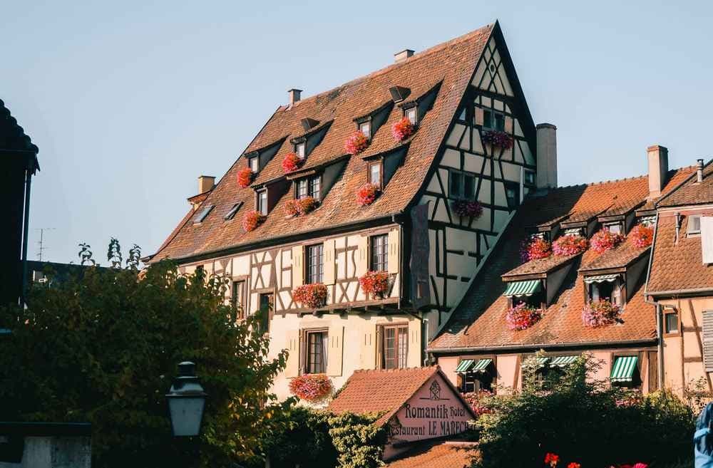 Trail Alsace Grand Est by UTMB - image