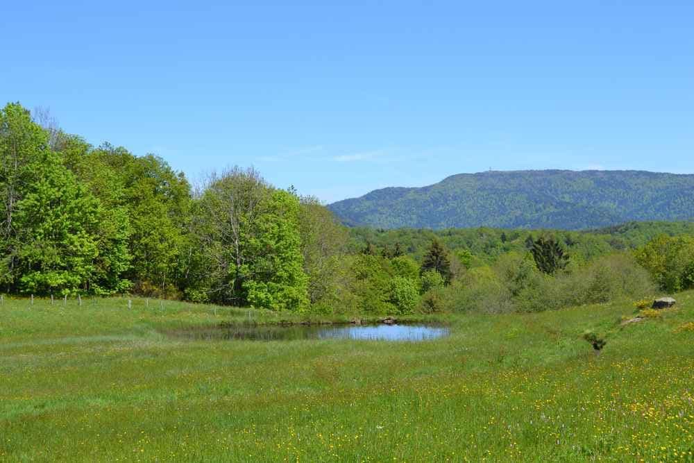 Trim’athlon Villersexel - image