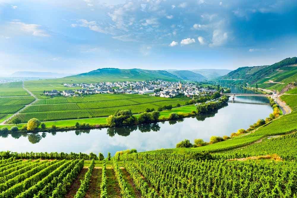 Mosel'Man - image