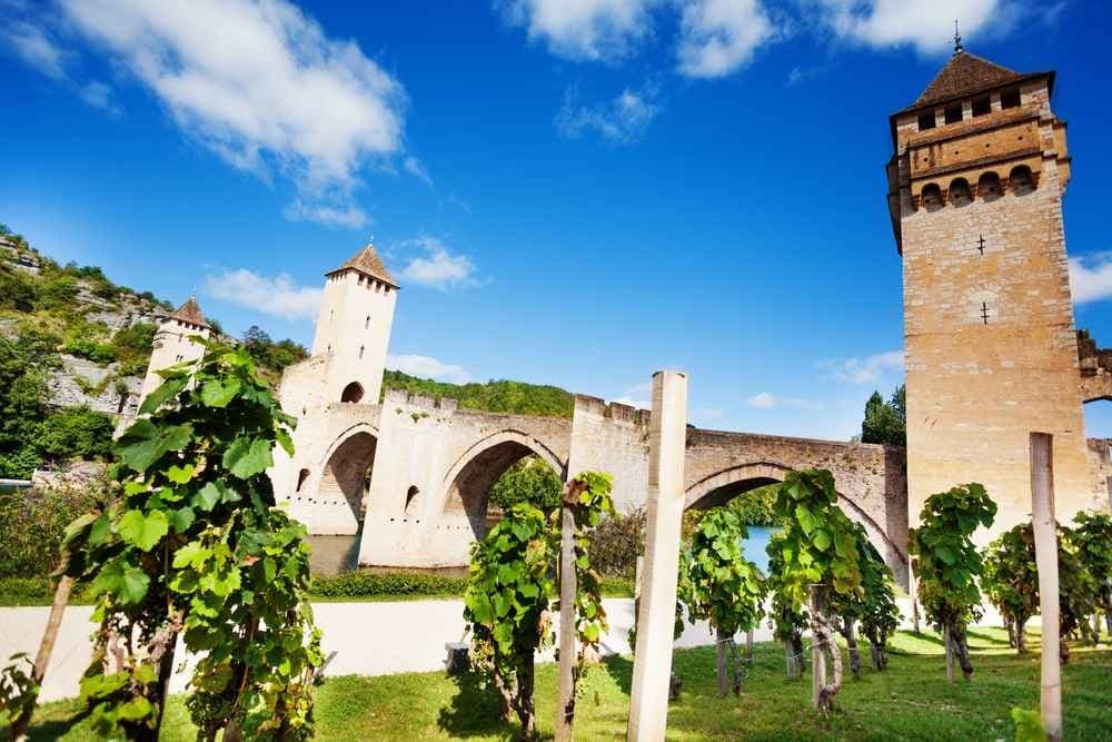 Le marathon des vignobles - image