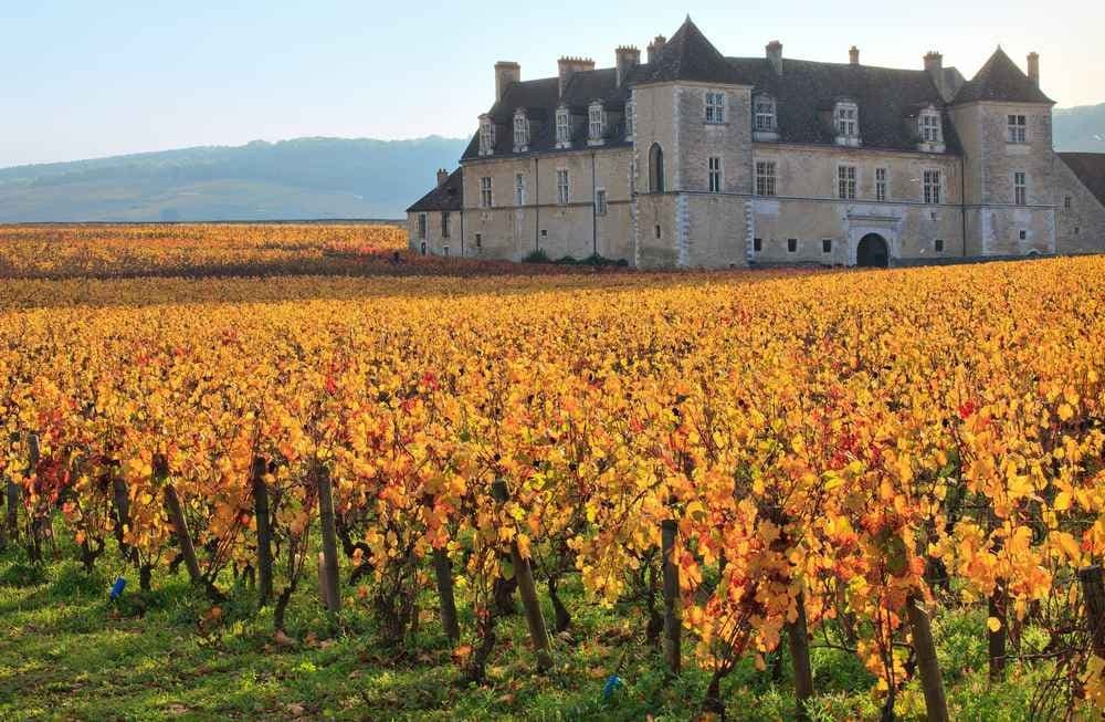 Ultimate Man : Les Grands Crus - image