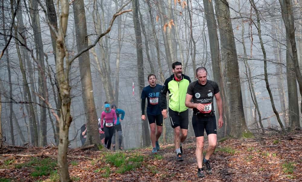 X'Trail Macadam - image