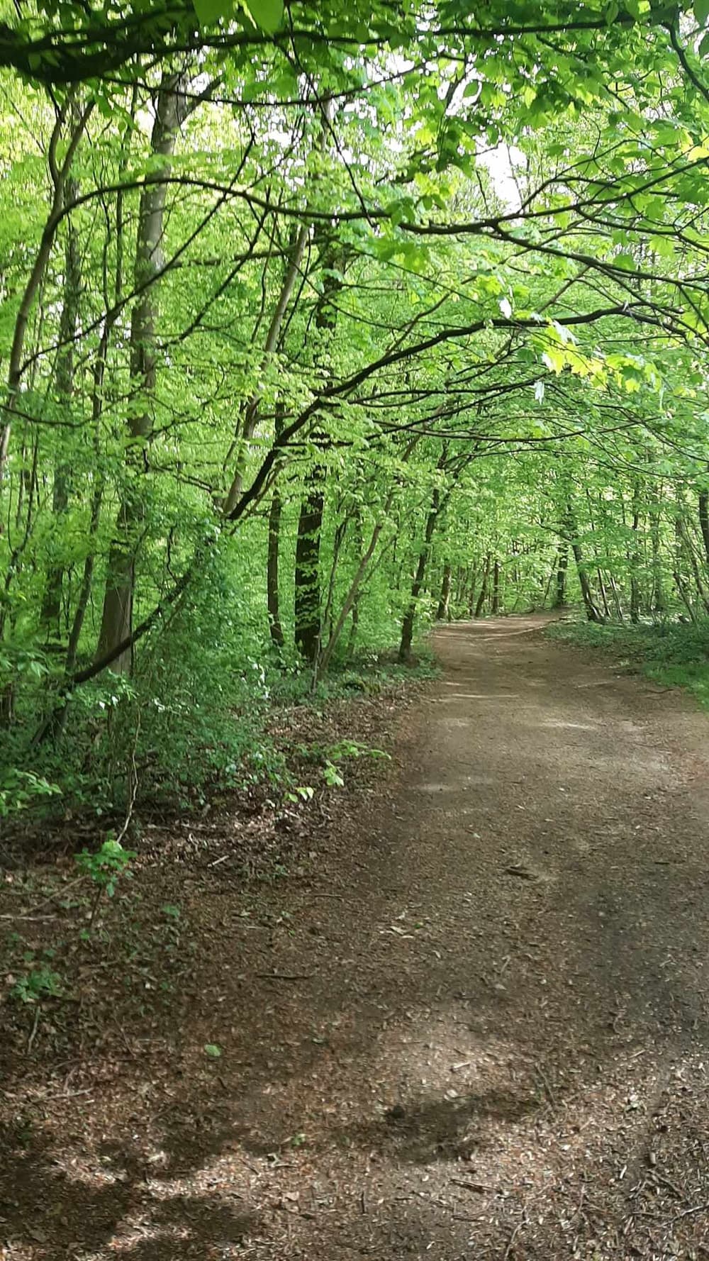 La longlav'run - image 3