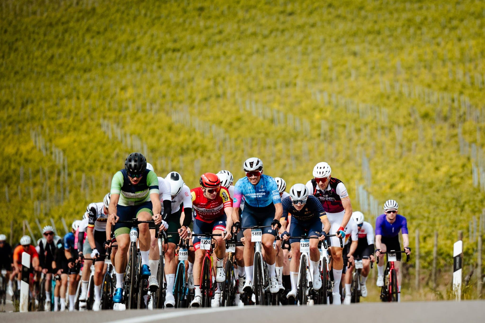 Schleck Gran Fondo - image