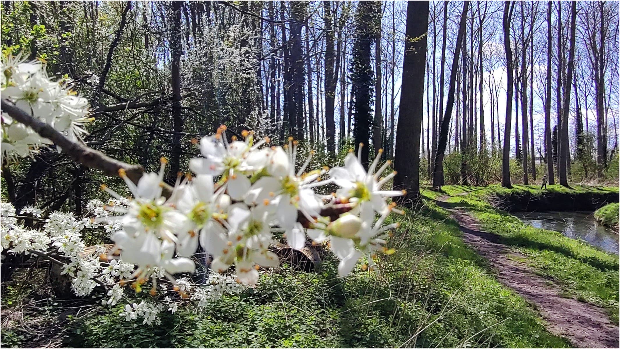 MUT Trail Festival - image 4