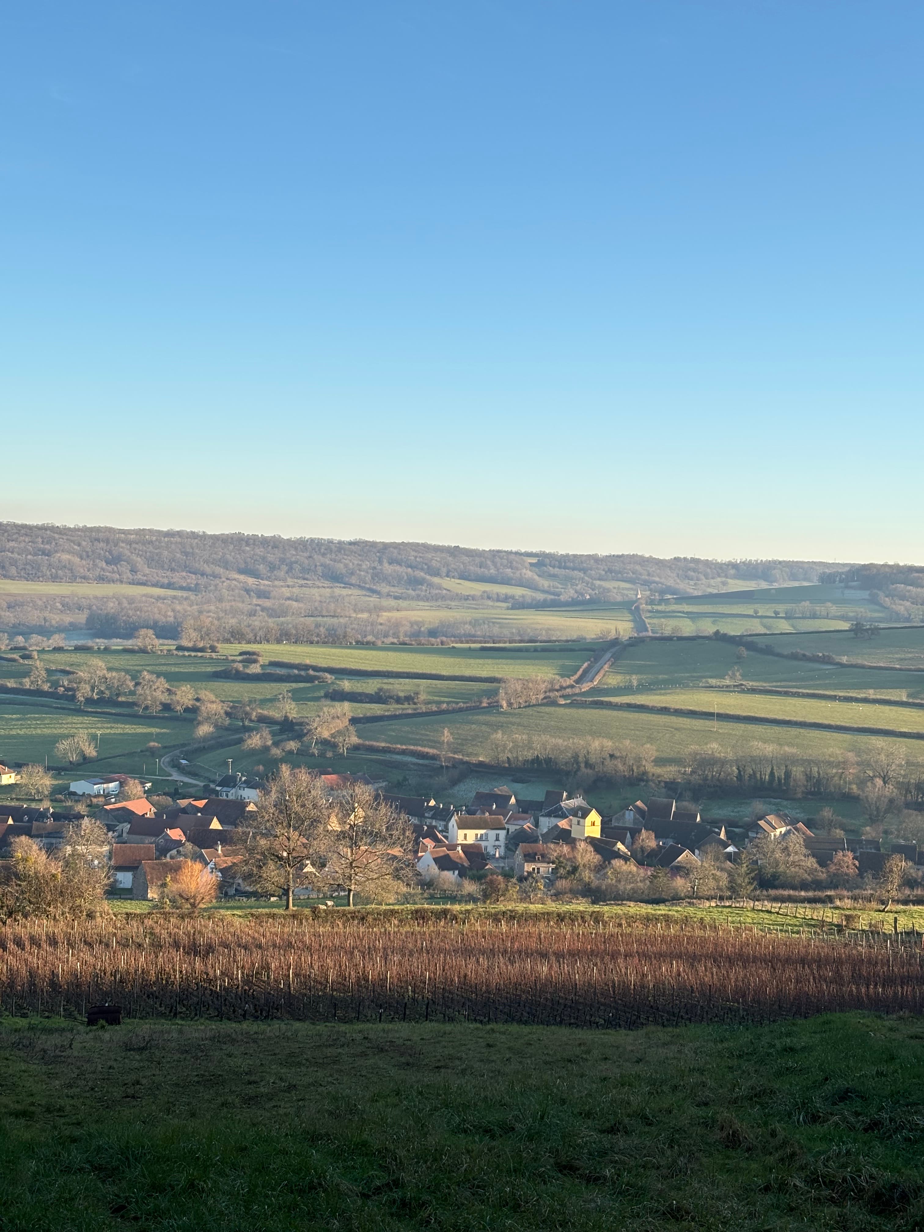 Trail Côtelettes - image 3