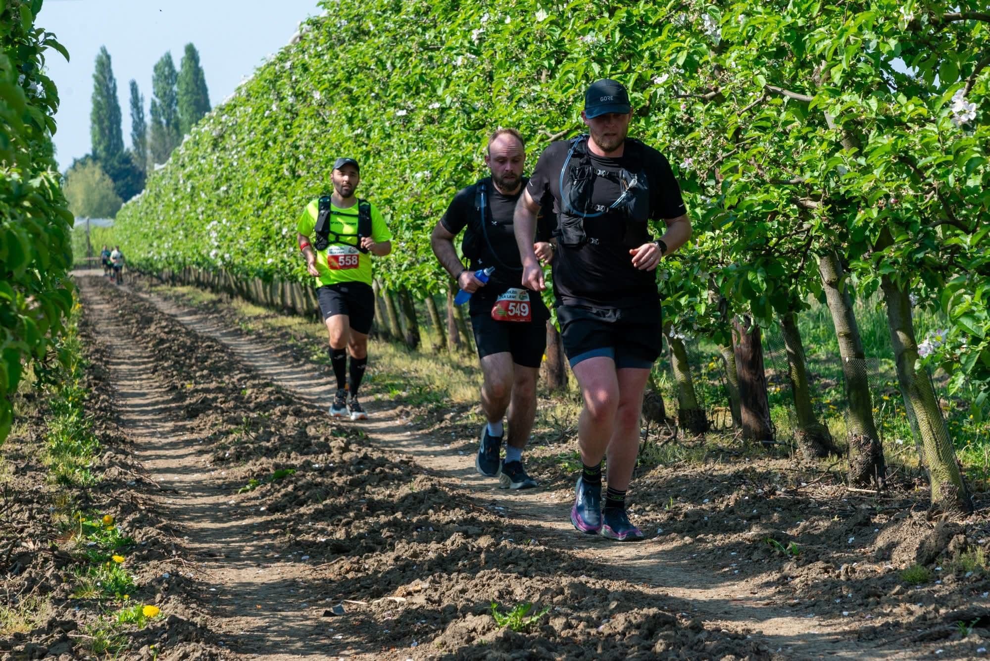 Les foulées de la Lawe - image
