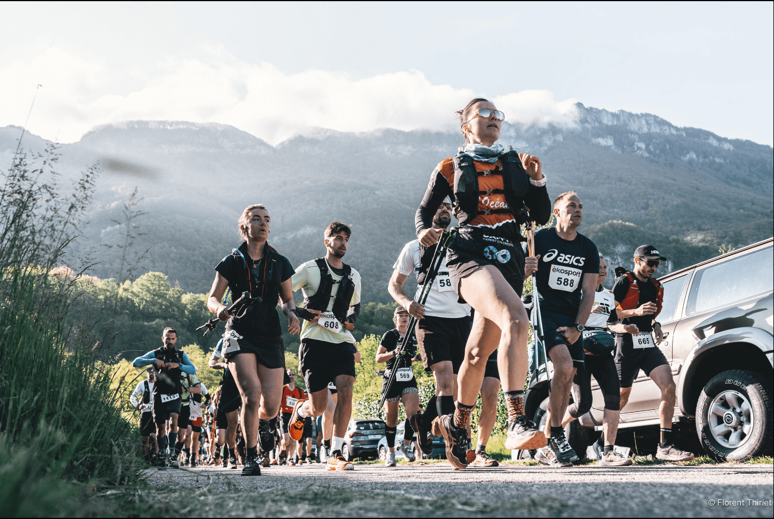 La chatvoyarde - image