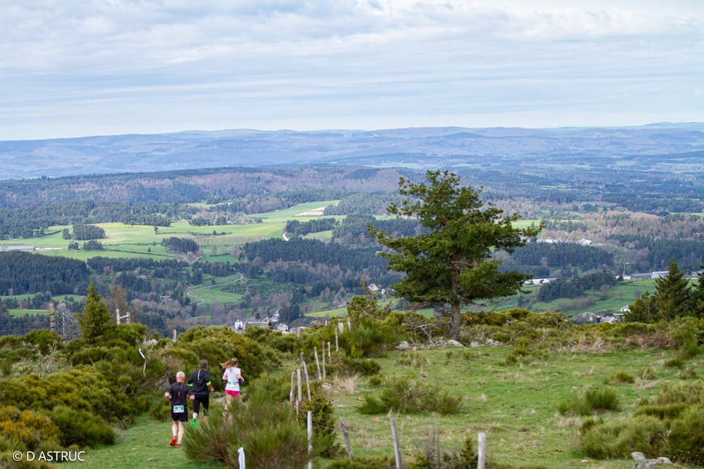 Randon trail - image 2