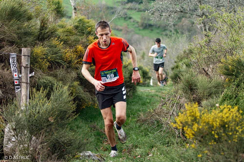 Randon trail - image 3