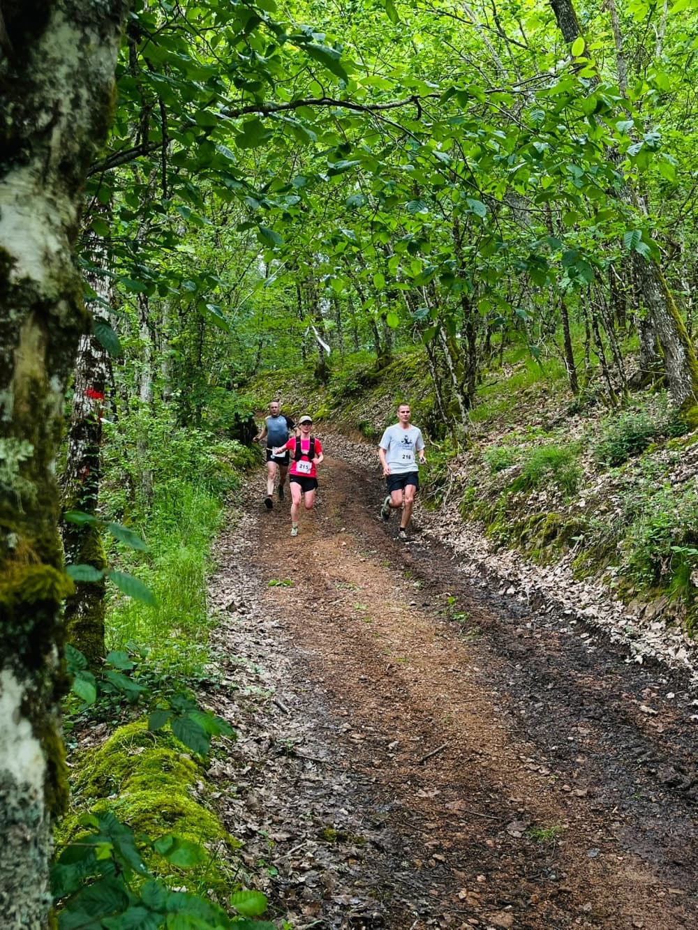 Trail des croix de rome - image 3