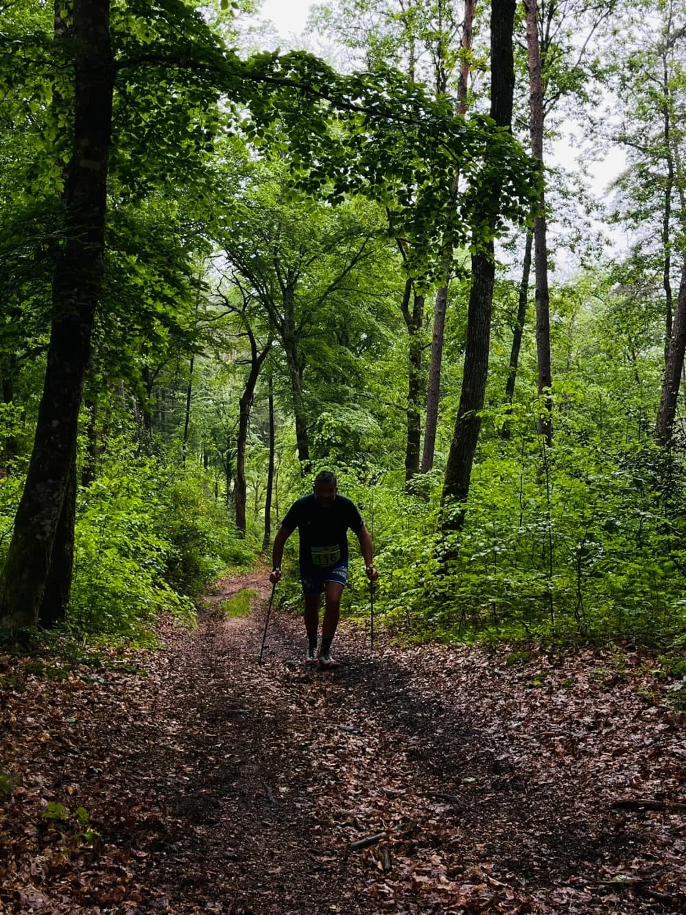 Trail des croix de rome - image 2