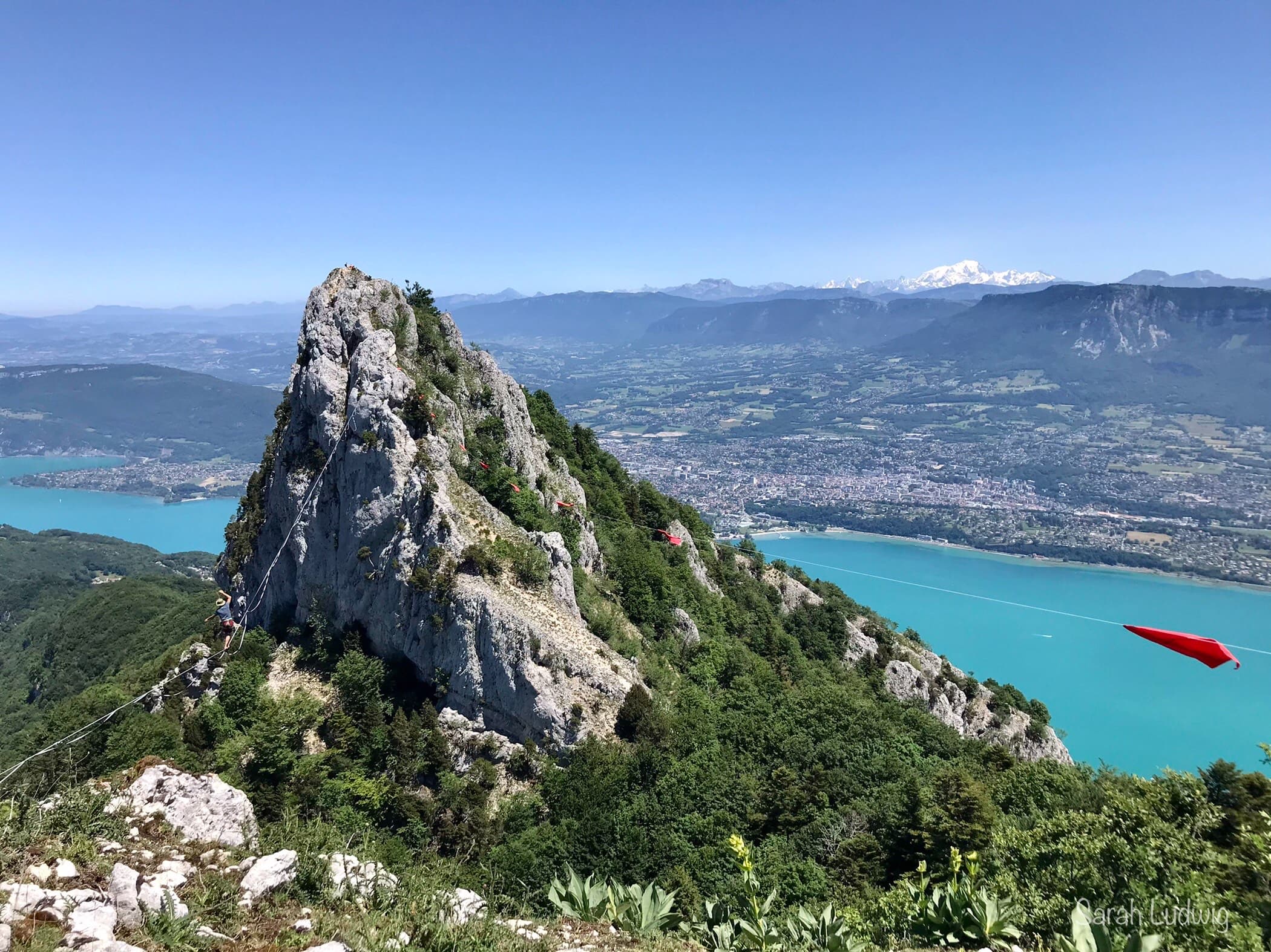 Triathlon du Chat - image